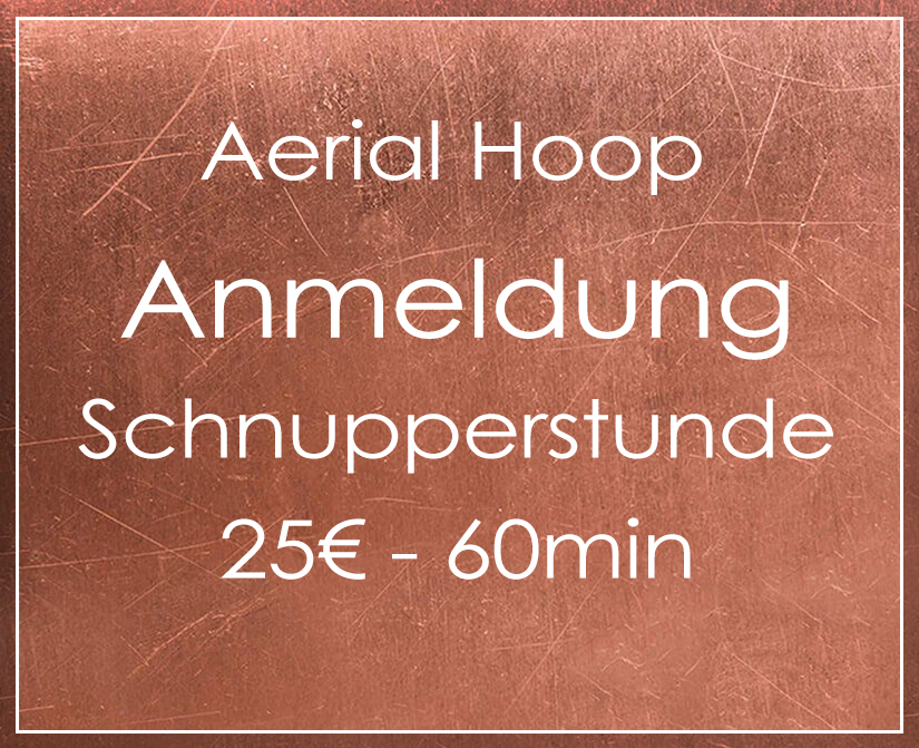 Anmeldung Schnupperstunde Aerial Hoop PDA Neuburg
