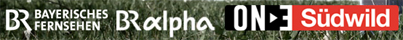 On3_Sdwild_logo